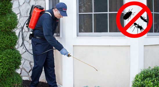 Çifteler Gümüşkurt İlaçlama böcek ilaçlama ve haşere kontrolü — ilaclama-tr.com